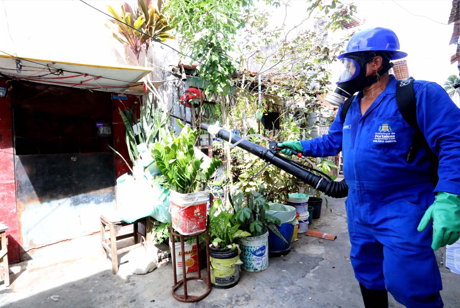 Prefeitura de Fortaleza realiza ações contra arboviroses na região do Halleluya e Fortal