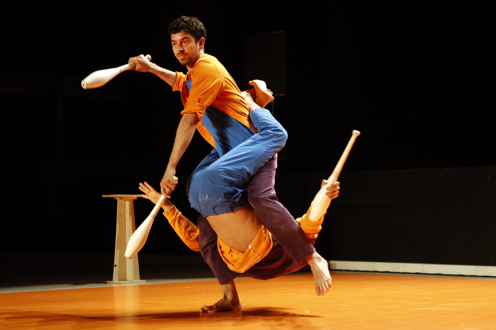 Festival TIC chega à 14ª edição celebrando a arte como espaço de encontro