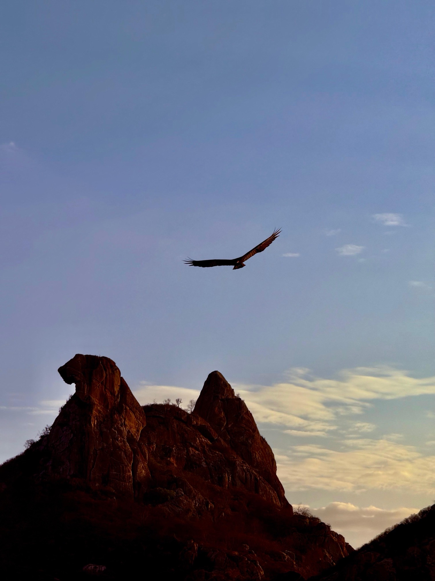 Qxas Festival 2025: últimos dias de inscrições para workshops