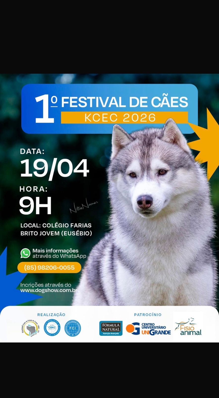 Festival de cães reúne mais de 50 raças e competições internacionais no Eusébio neste domingo