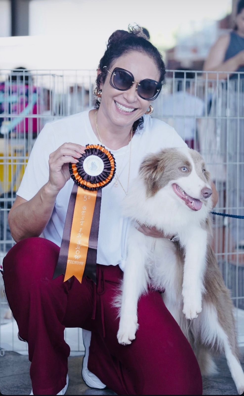 Cães Border Collie do Grupo Aconchego viram destaque no Festival de Cães do KCEC 2026 em Eusébio